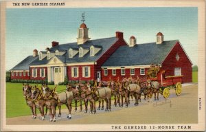 Genesee 12 Horse Team at New Stable Scottsville Rd Near Rochester Postcard W11