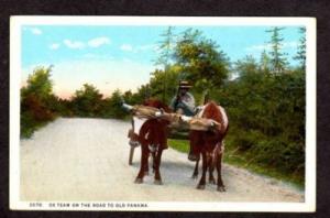 Vintage Postcard Ox Oxen Team Republic of Panama Old PC