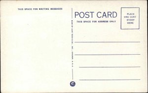 Schuylkill Haven PA Main St. c1920s Postcard #1