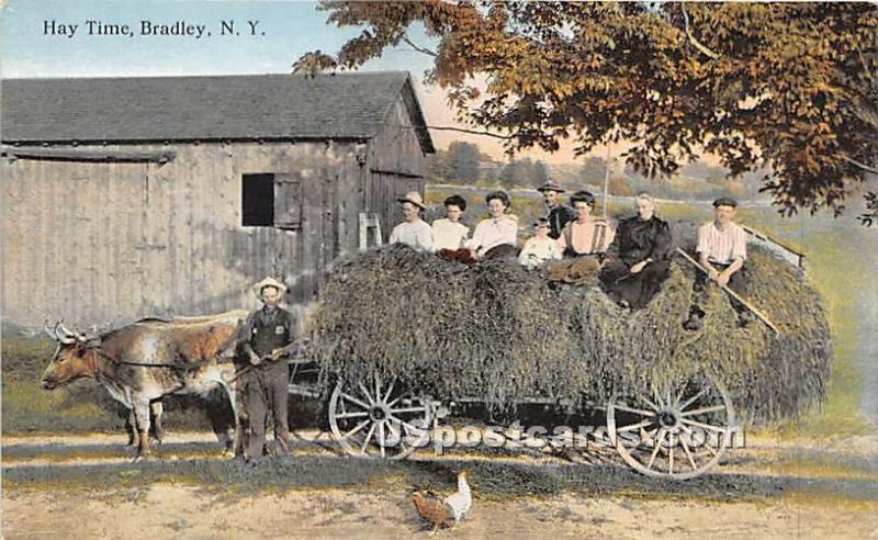 Hay Time Bradley NY Unused