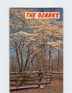 Postcard Dogwood Time In The Ozarks, Missouri