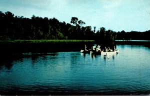 Florida Green Cove Springs Canoeing At Camp Chowenwaw