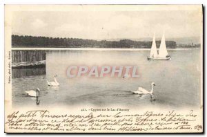 Old Postcard Swans on Lake Annecy