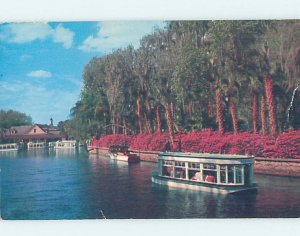 Pre-1980 SILVER SPRINGS SCENE Ocala Florida FL AF9802