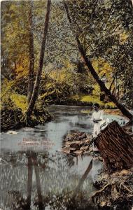 B78/ Zanesville Ohio Postcard c1910 Bartlett's Run Terrapin Hollow Woman Creek