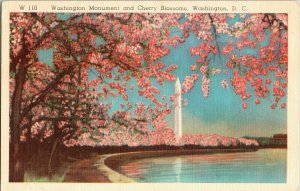 Japanese Cherry Tree Riverside Potomac Park Washington Monument 1c Postcard Vtg 