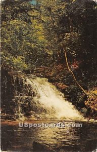 Waterfall, Turkey Path - Leonard Harrison State Park, Pennsylvania