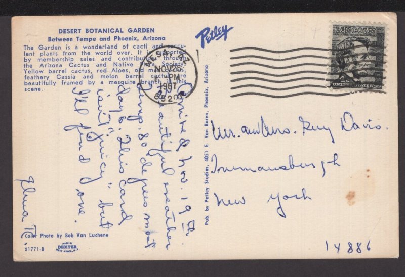 Arizona Desert Botanical Garden between Tempe and Phoenix pm1967 ~ Chrome