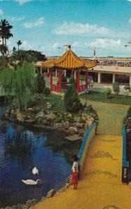 Hawaii Honolulu Oriental Garden At International Jet Airport