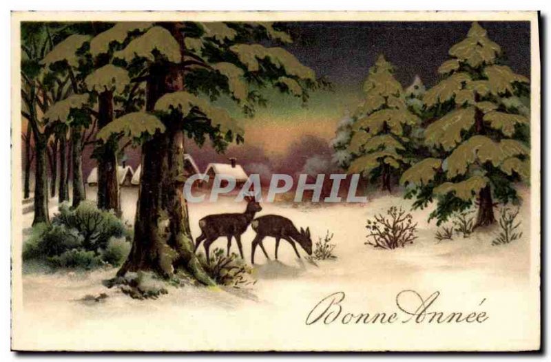 Old Postcard Fancy Biches Good year