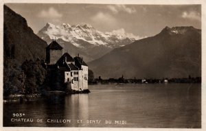 Chateau de Chillon,France BIN