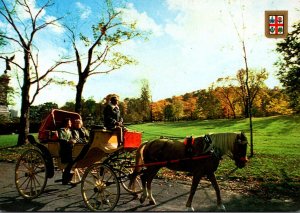 Canada Montreal Horse Drawn Carriage On Mount Royal