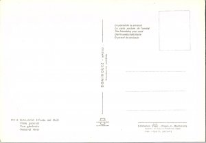 Panoramic View Malaga Costa del Sol Spain Flowers 1960s Continental Postcard