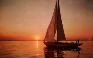 Sailing at Sunset,Gloucester,MA BIN