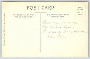 Weymouth  Dorset  England  UK The Pavilion   Postcard