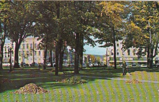 New York Bath View From Park In Village Square