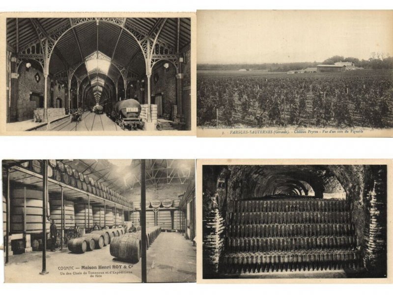 ALCOHOL, WINE PRODUCTION 150 Vintage Postcards (L6583)