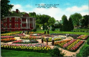 27000 Tulips Full Bloom Tulip Time Pella Iowa IA UNP Linen Postcard Unused