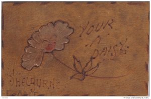 Your a Daisy , SHELBURNE , Ontario , Canada , PU-1906