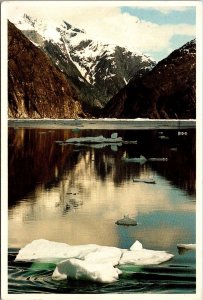 Alaska The Princess Patricia In Tracy Arm