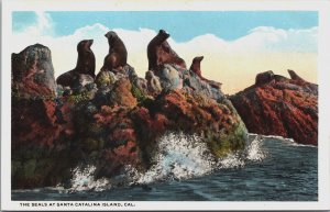 The Seals At Santa Catalina Island California Postcard C095