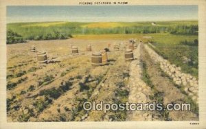 Picking Potatoes Farming Unused 