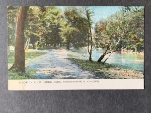 Scene In Rock Creek Park Washington DC Litho Postcard H2163080931