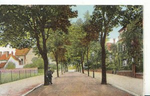 Leicestershire Postcard - West Walk - Leicester - Ref 4183A