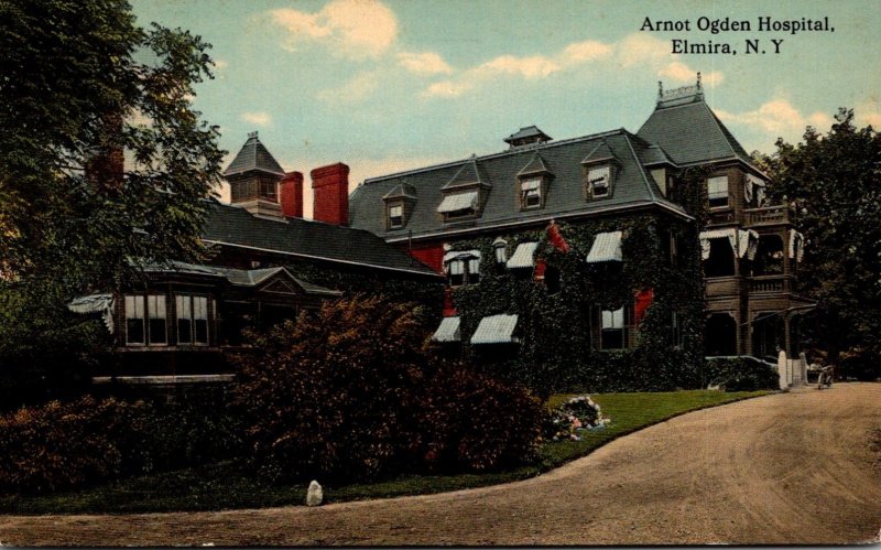 New York Elmira Arnot Ogden Hospital