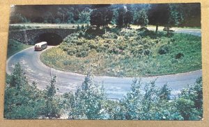 UNUSED PC - LOOP OVER ON HWY FROM GATLINBURG - NEWFOUND GAP, TENN. - VINTAGE BUS