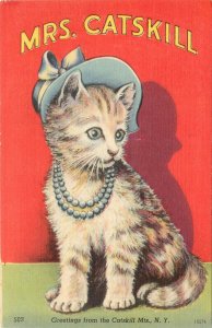 Linen Postcard Cat in Hat and Pearls Mrs. Catskill Red Background 503 New York