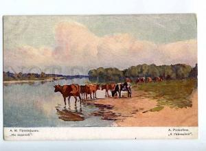 224339 RUSSIA PROKOFIEV At watering cows St.Eugenie postcard