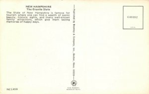 LPM49 New Hampshire Map Chrome Postcard The Granite State