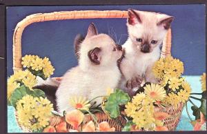 Siamese Kittens in a Basket Post Card PC2380
