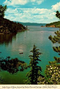 Idaho Lake Coeur d'Alene Framed By Native Pine and Syrings The Idaho Sta...