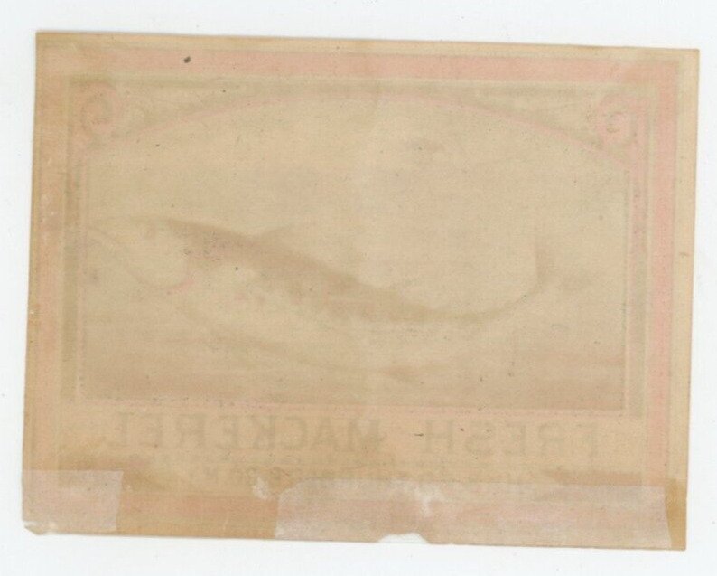 1870s-80s Thurber Can Label Fresh Mackerel Fab! #6M