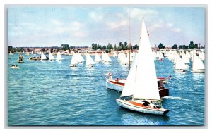 Flight of the Snowbirds Boats Newport Harbor California UNP Chrome Postcard A15
