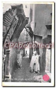 Postcard Old Algiers Rue Du Palmier