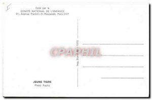 Old Postcard Young Tiger