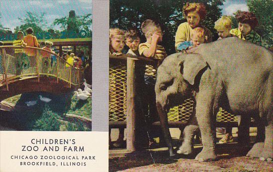 Illinois Chicago Elephant Children's Zoo and Farm Chicago Zoological Park Bro...