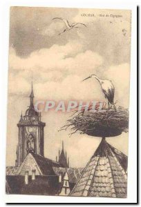 Colmar Old Postcard Storks nest