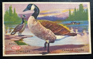 Mint USA Advertising Postcard DuPONT Shoot Powders Canada Goose