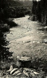 1952 Rppc Vtg Postcard Real Photo Fishing Food In North Idaho River Fish 