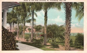 Vintage Postcard Scene In Braf Grounds St Petersburg Florida E.C. Kropp Co. Pub.