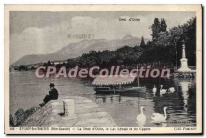 Old Postcard Evian Les Bains Dent D'Oche Lake Leman And Swans