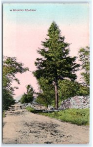 FITZWILLIAM, NH New Hampshire ~ Hand Colored DIRT ROAD Scene c1910s Postcard