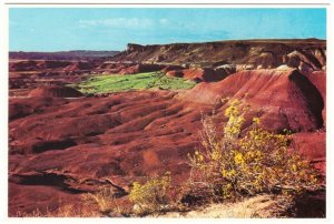 Painted Desert, Petrified Forest National Park, Arizona, Chrome Postcard #1