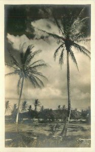 Hawaii Palms Lagoon Waterfront 1920s Postcard 20-12799