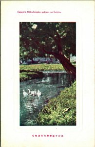 Ono Pond Botanical Gardens Sapporo University Japan UNP Unused DB Postcard  C1