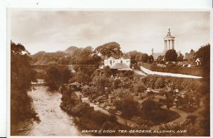 Scotland Postcard - Banks O'Doon Tea Gardens - Alloway - Ayrshire   DP629